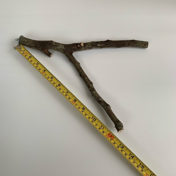 Bird perch for small birds - Picture 4 of 5